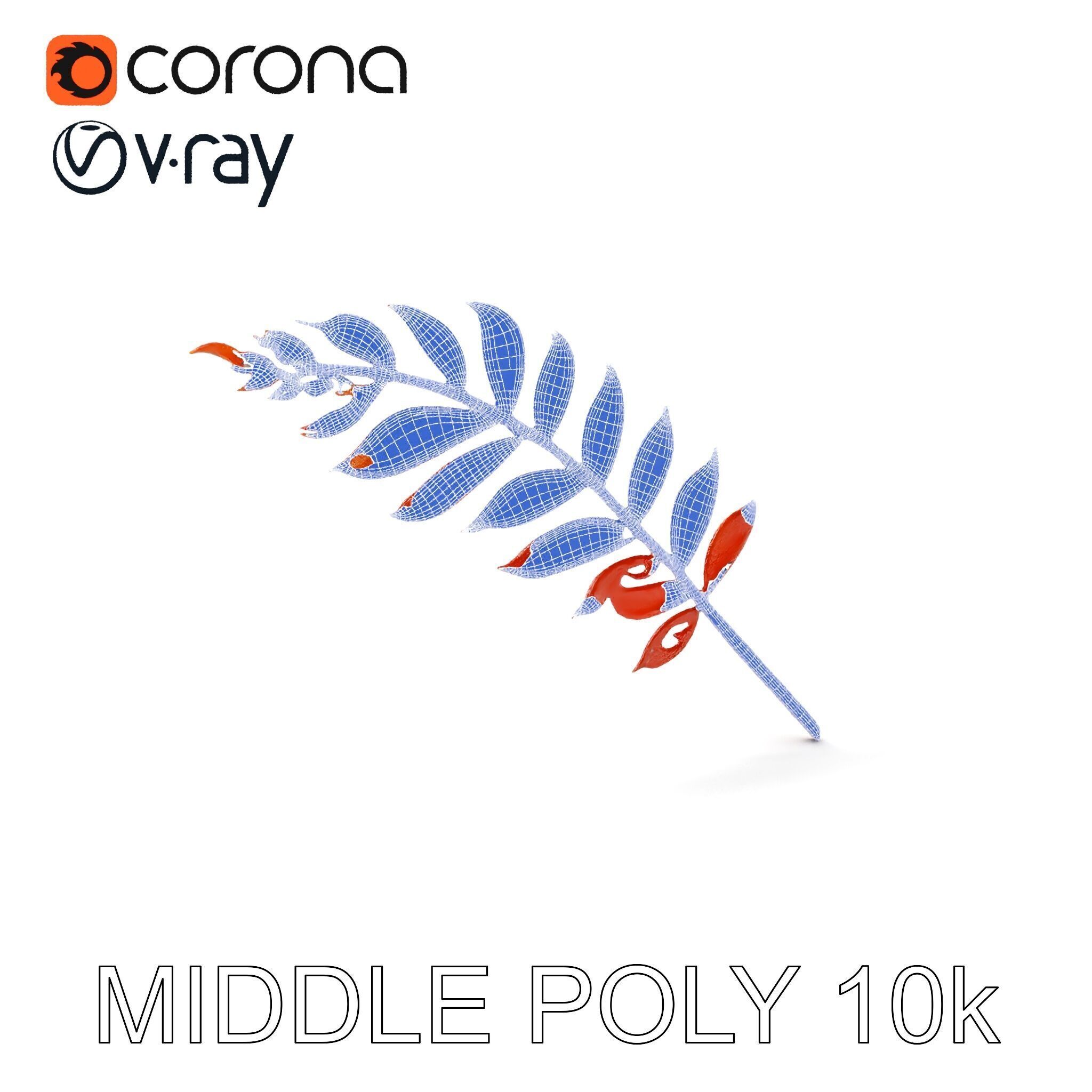 Detailed Botanical Leaf Model Pack Low-poly 3D model_18