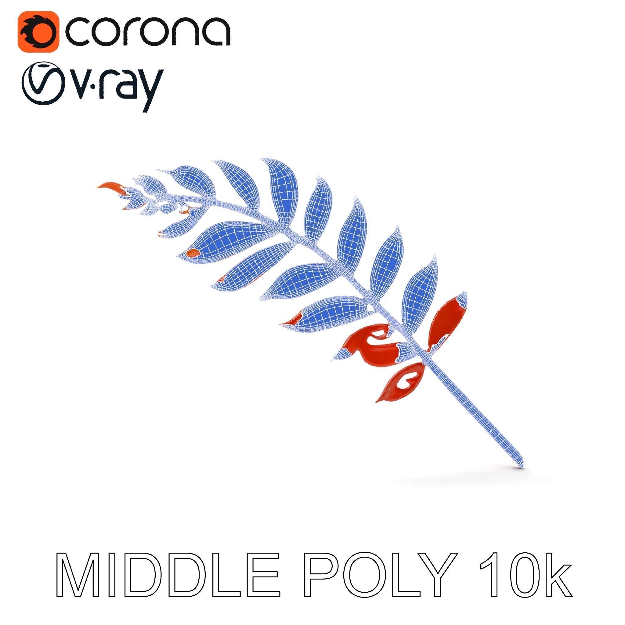 Detailed Botanical Leaf Model Pack Low-poly 3D model_16