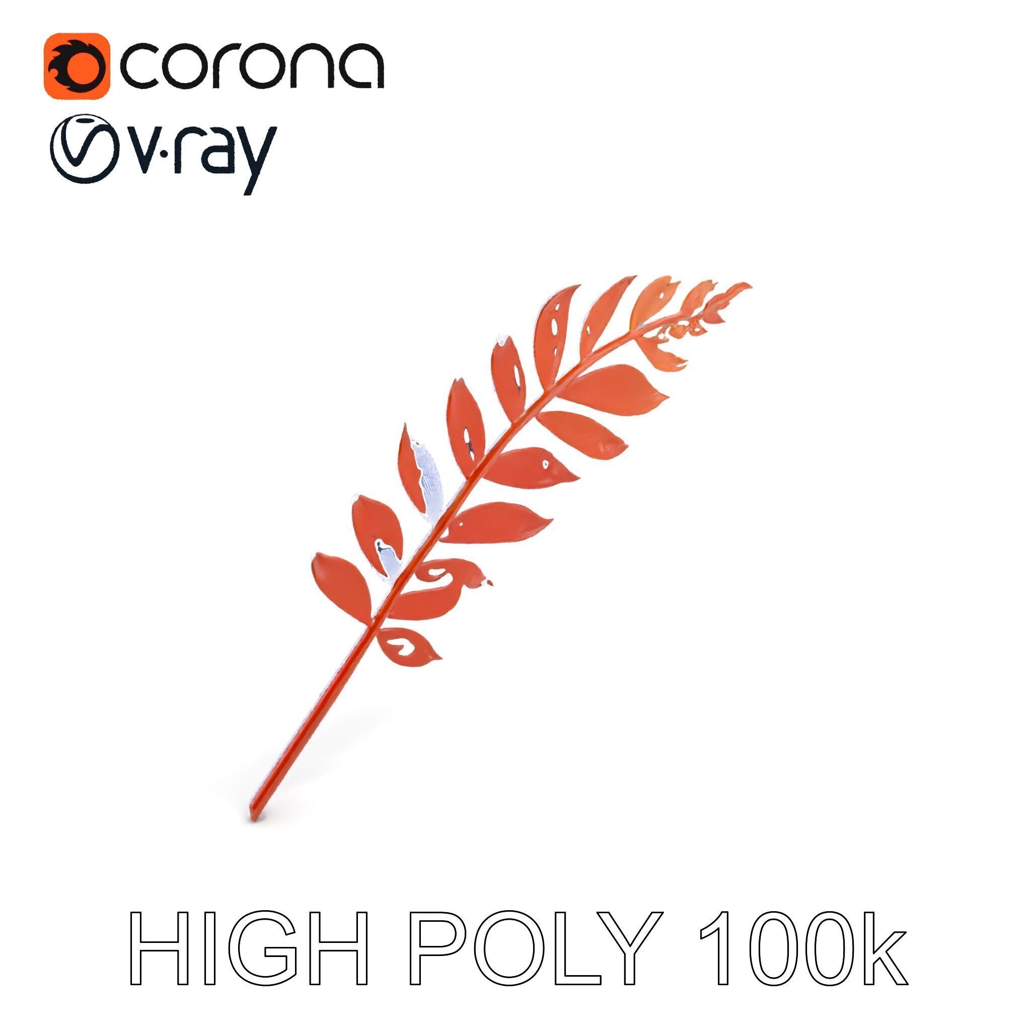 Detailed Botanical Leaf Model Pack Low-poly 3D model_15