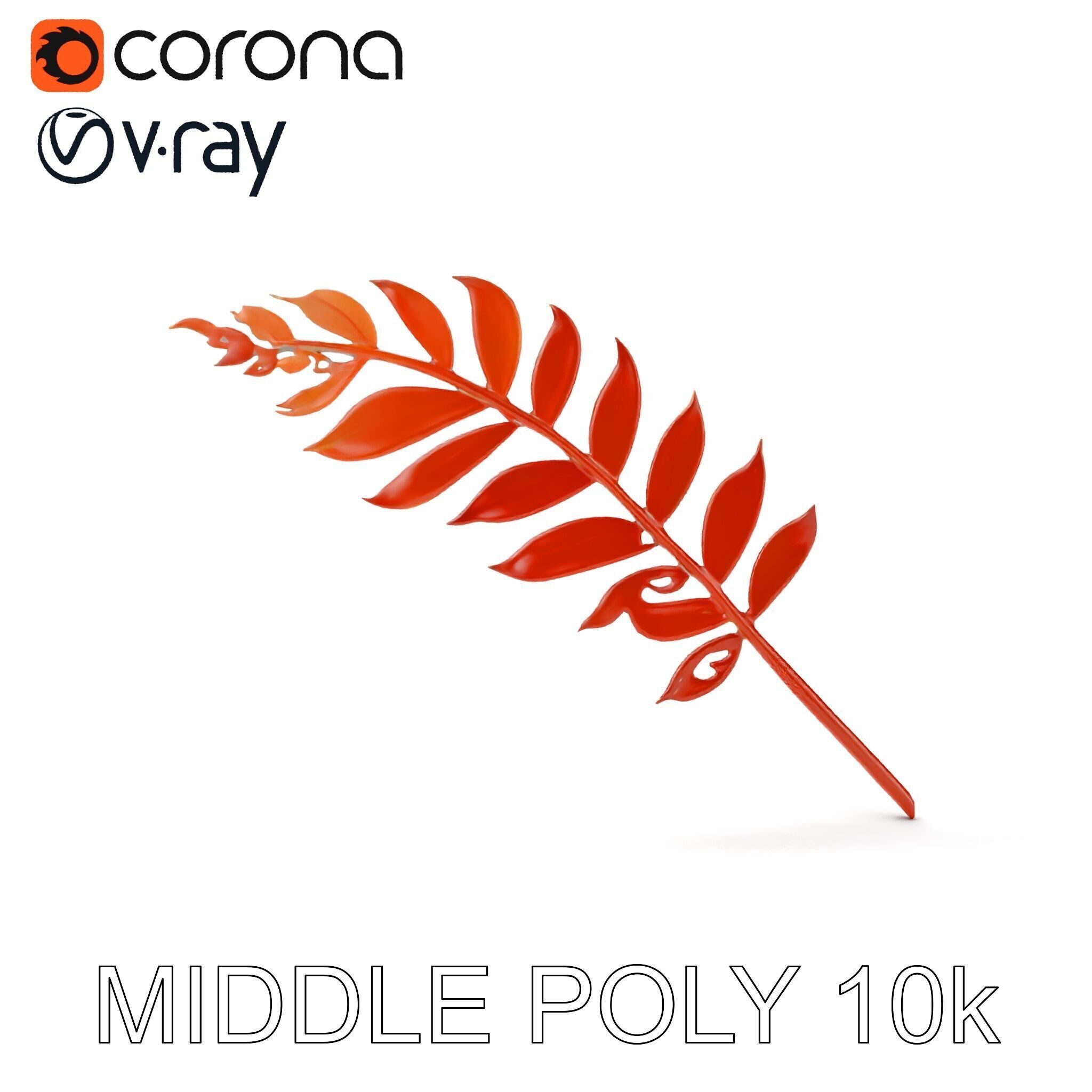 Detailed Botanical Leaf Model Pack Low-poly 3D model_10