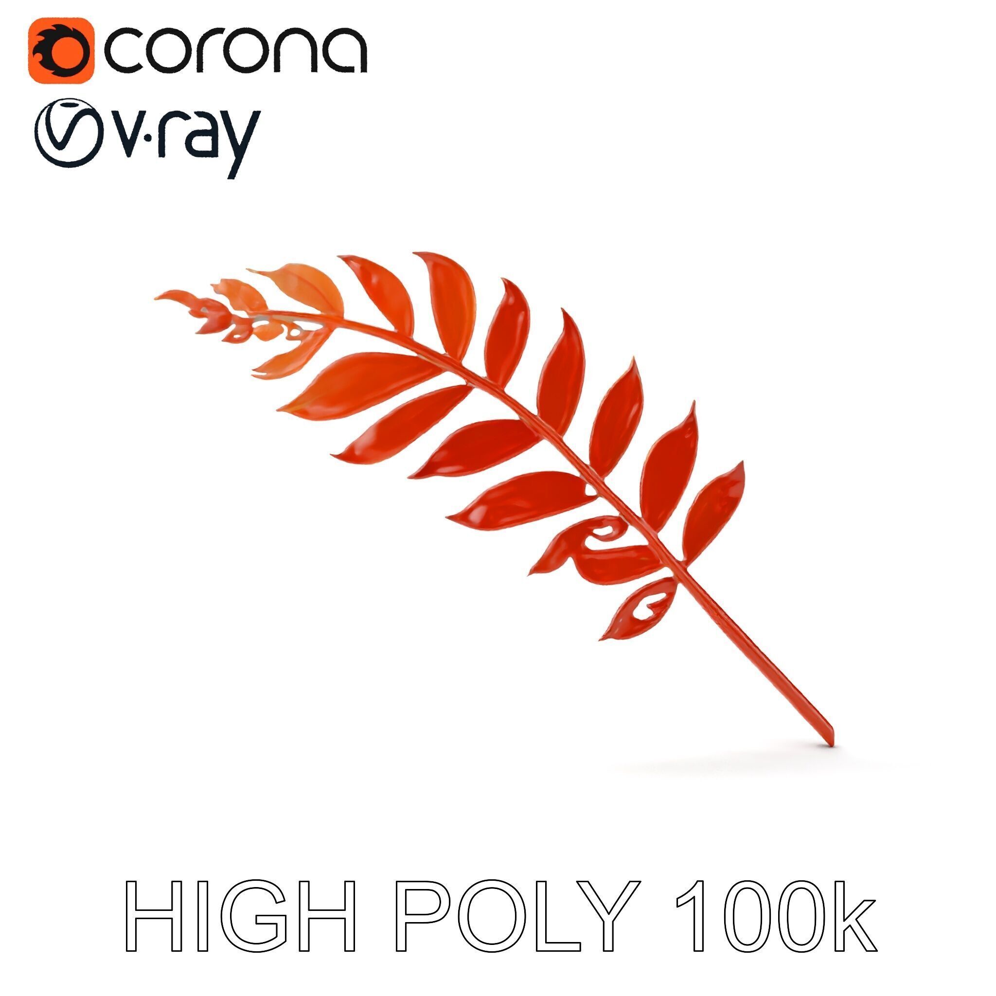Detailed Botanical Leaf Model Pack Low-poly 3D model_12
