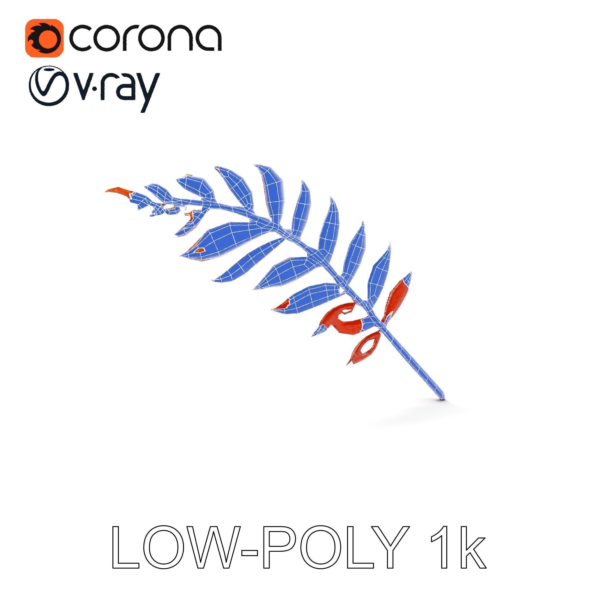 Detailed Botanical Leaf Model Pack Low-poly 3D model_19