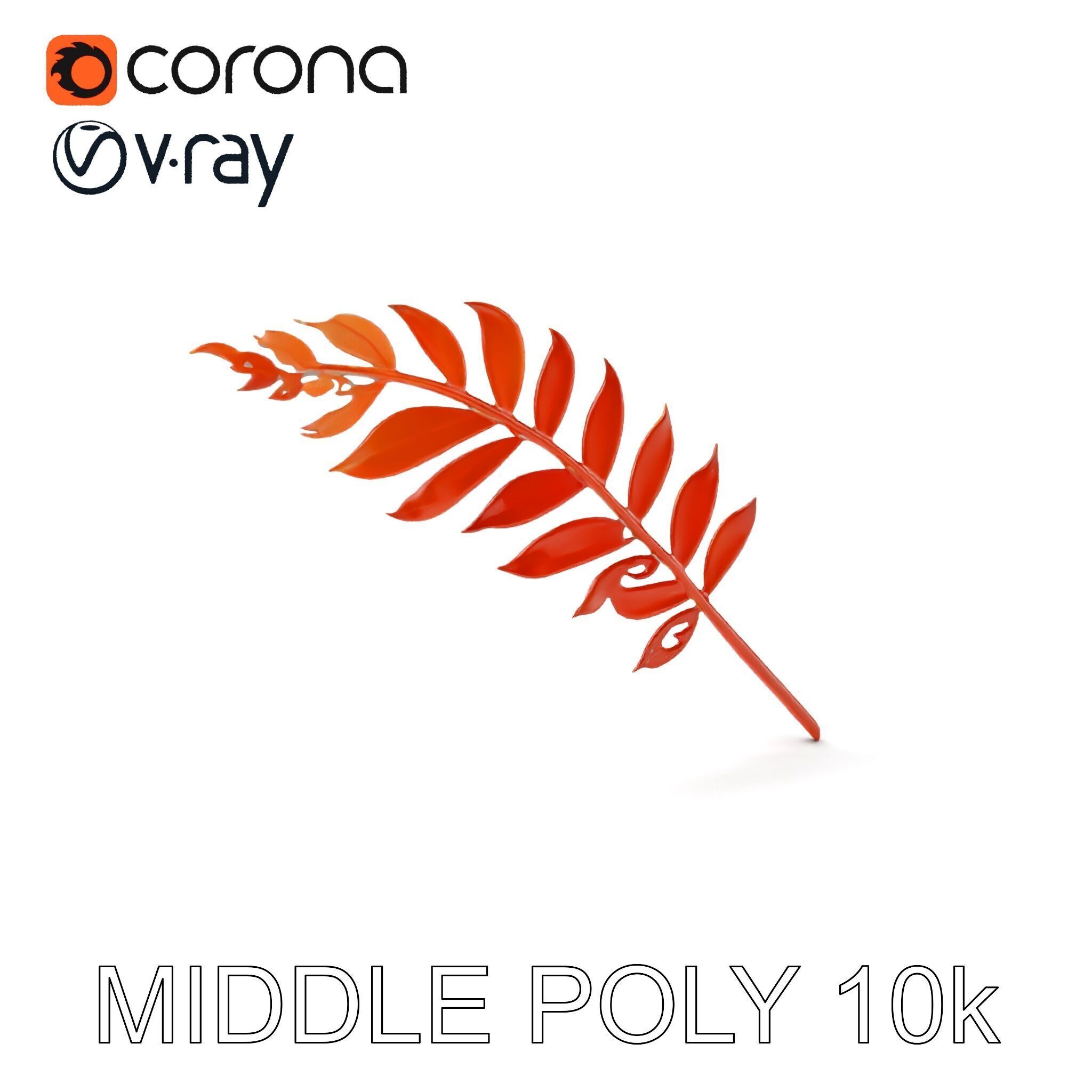 Detailed Botanical Leaf Model Pack Low-poly 3D model_13