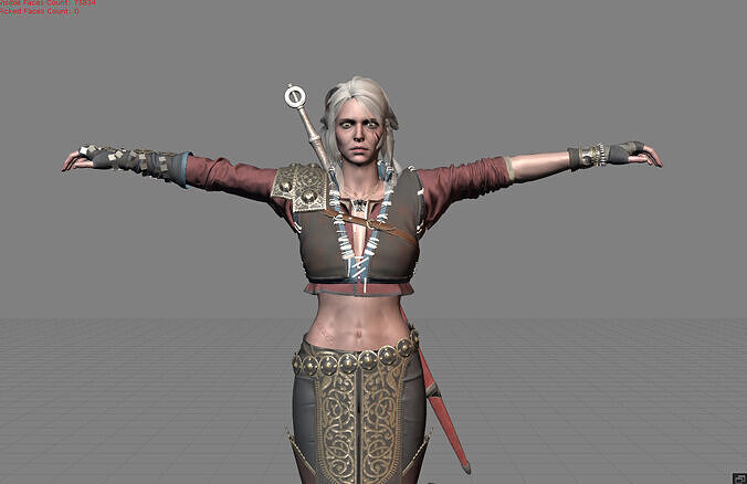 Female Character Ciri The Witcher Pack Cloth 3D model