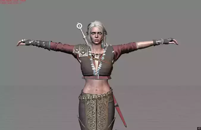 Female Character Ciri The Witcher Pack Cloth