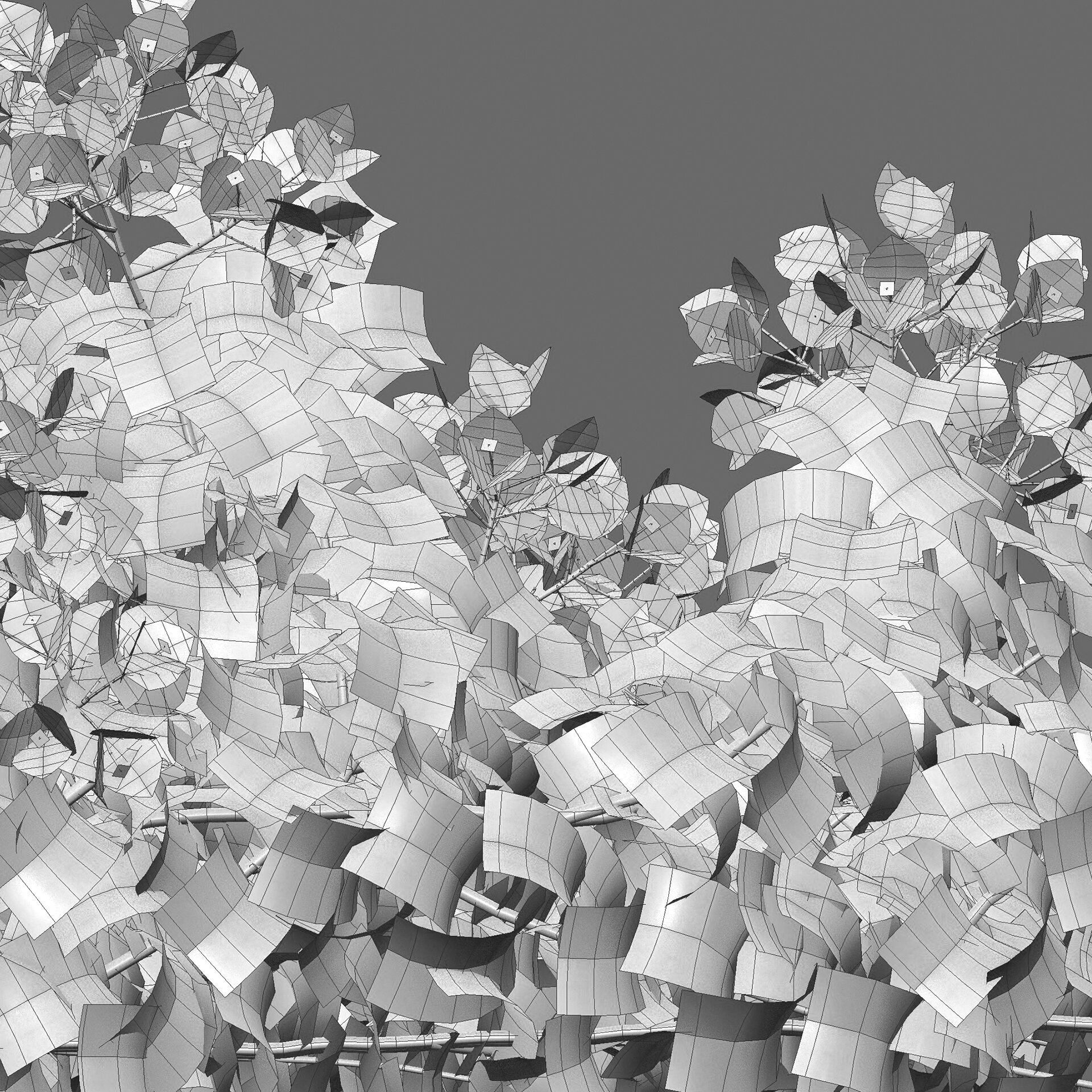 Bougainvillea - Paper Flower 03 - GrowFX 3D model_8