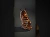 Realistic Feline D Model Pack with Detailed Textures Low-poly 3D model_2