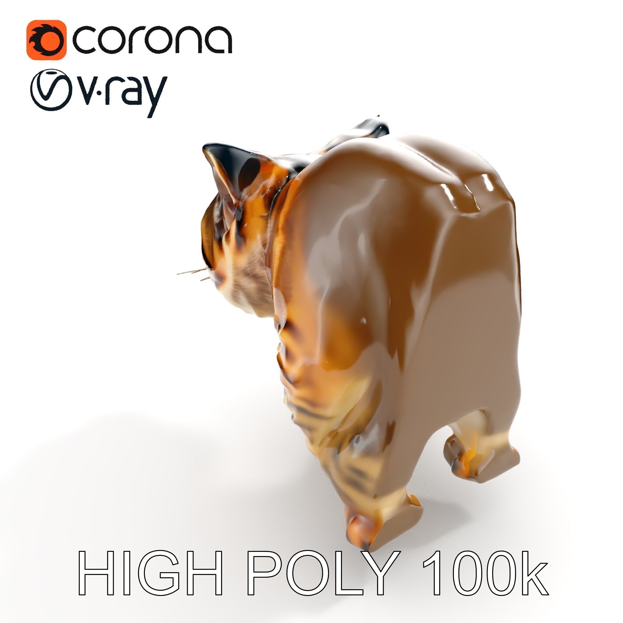 Realistic Wild Cat Model Pack for Animation and Interactive E... Low-poly 3D model_11