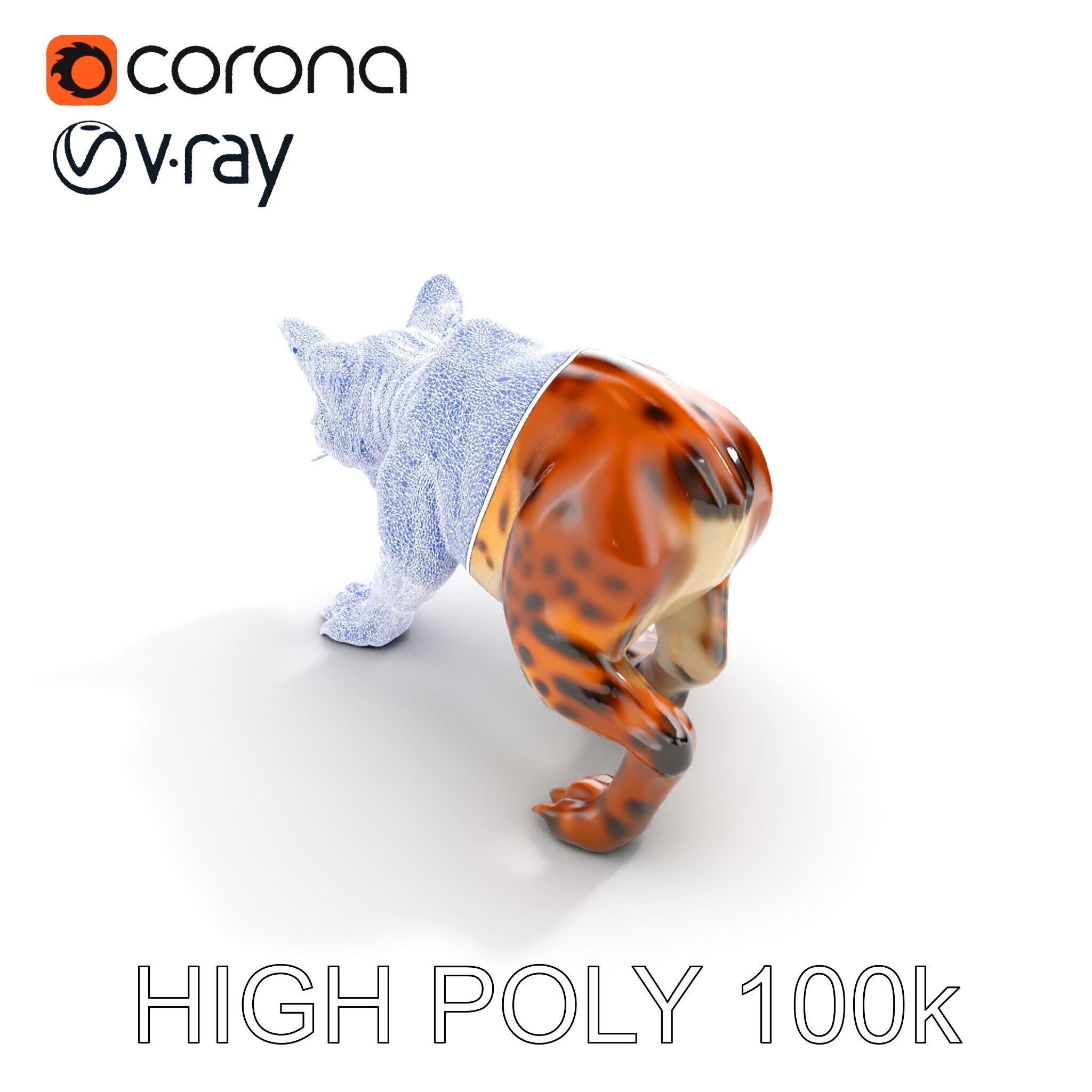 Wildcat Model Pack Low-poly 3D model_14