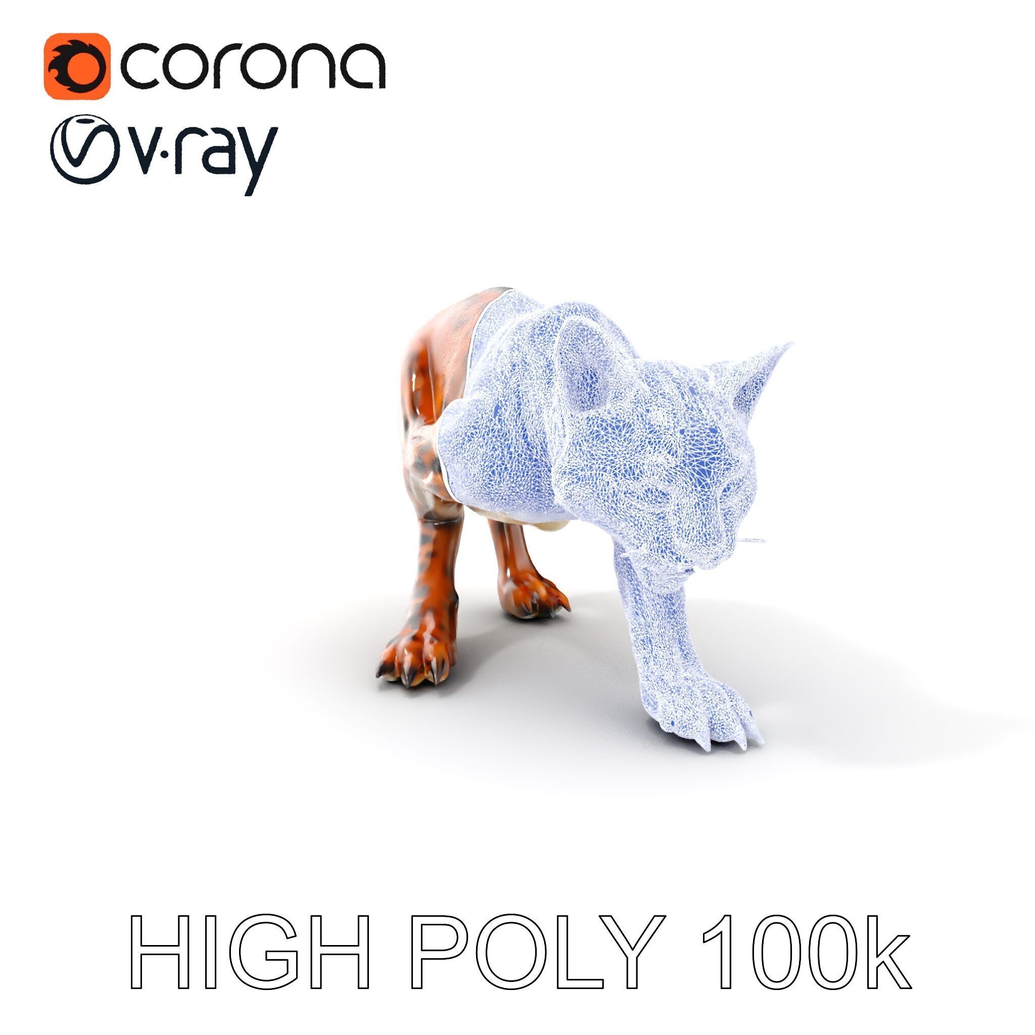 Wildcat Model Pack Low-poly 3D model_11