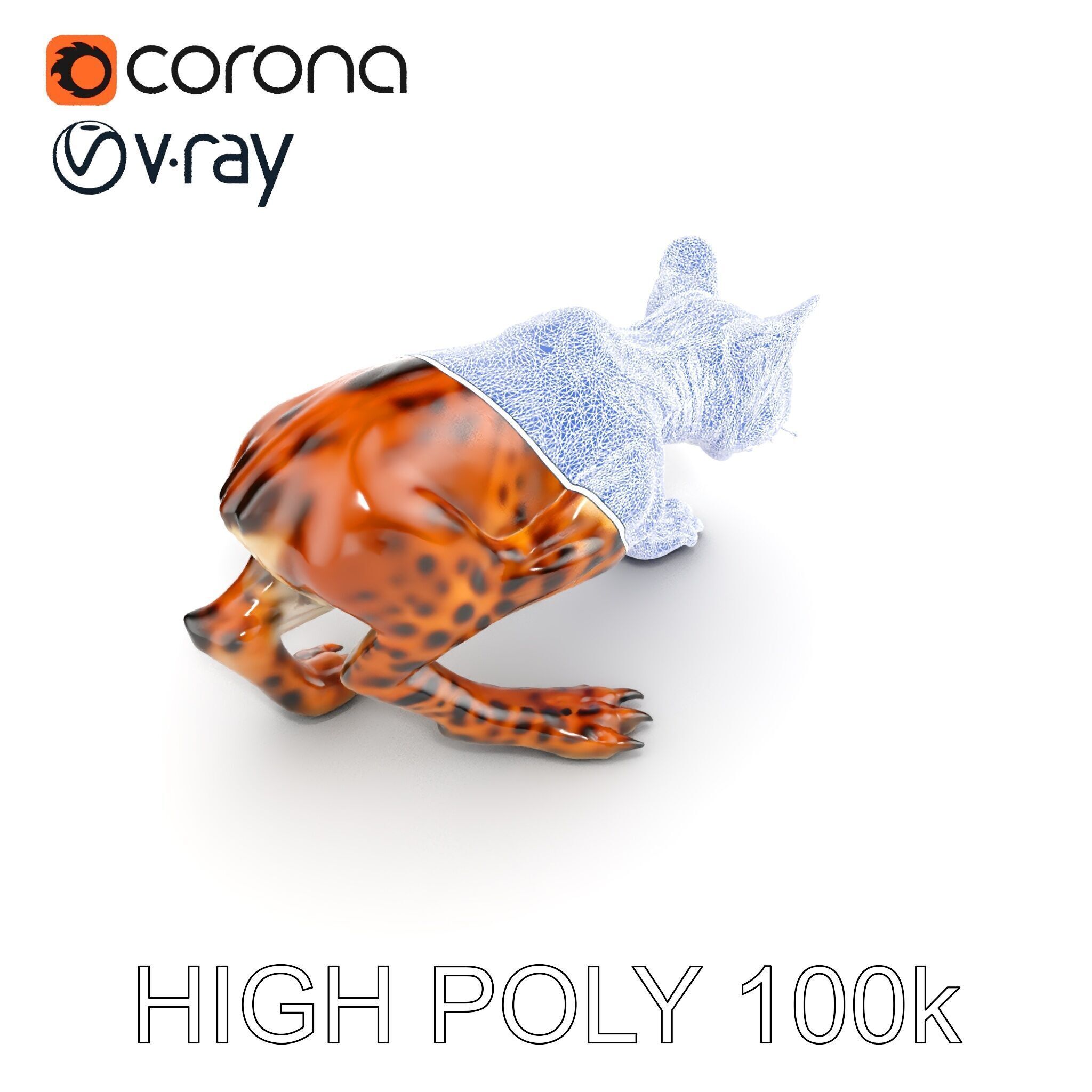 Wildcat Model Pack Low-poly 3D model_33