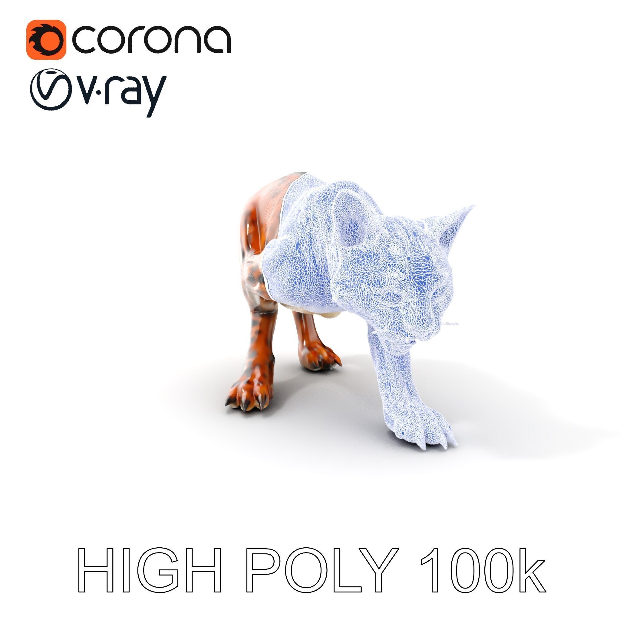 Wildcat Model Pack Low-poly 3D model_5