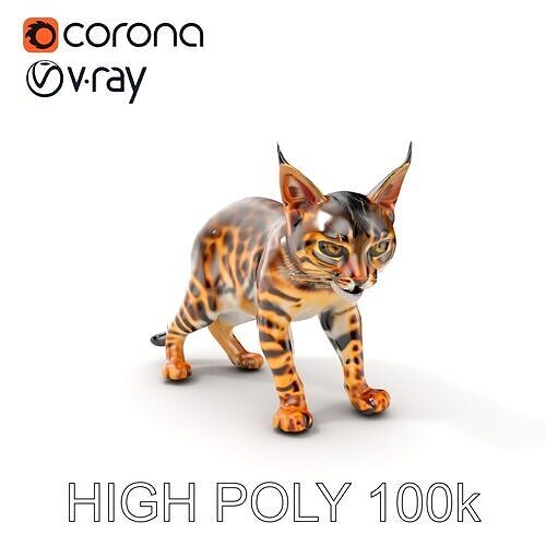 Realistic Spotted Bengal Cat Model Pack Low-poly 3D model