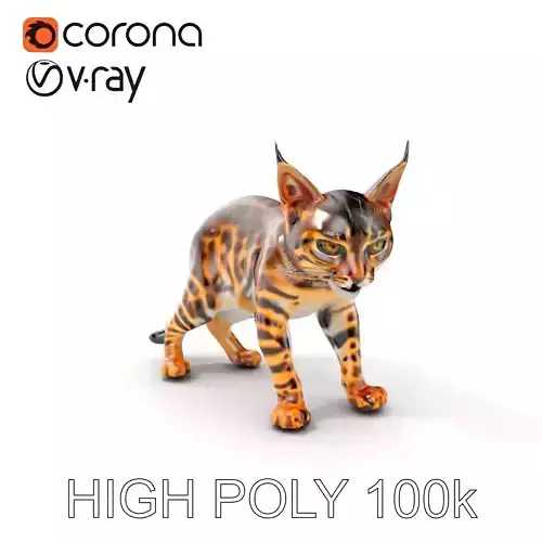 Realistic Spotted Bengal Cat Model Pack