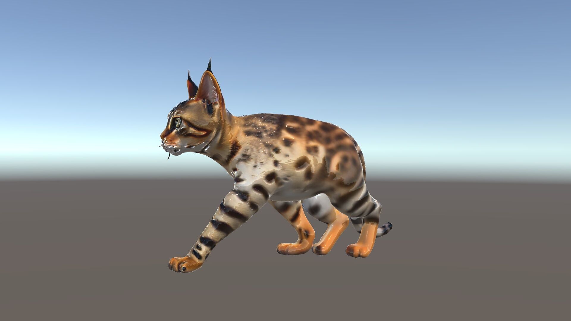 Realistic Bengal Cat Model Pack for D Rendering and Games Low-poly 3D model_33