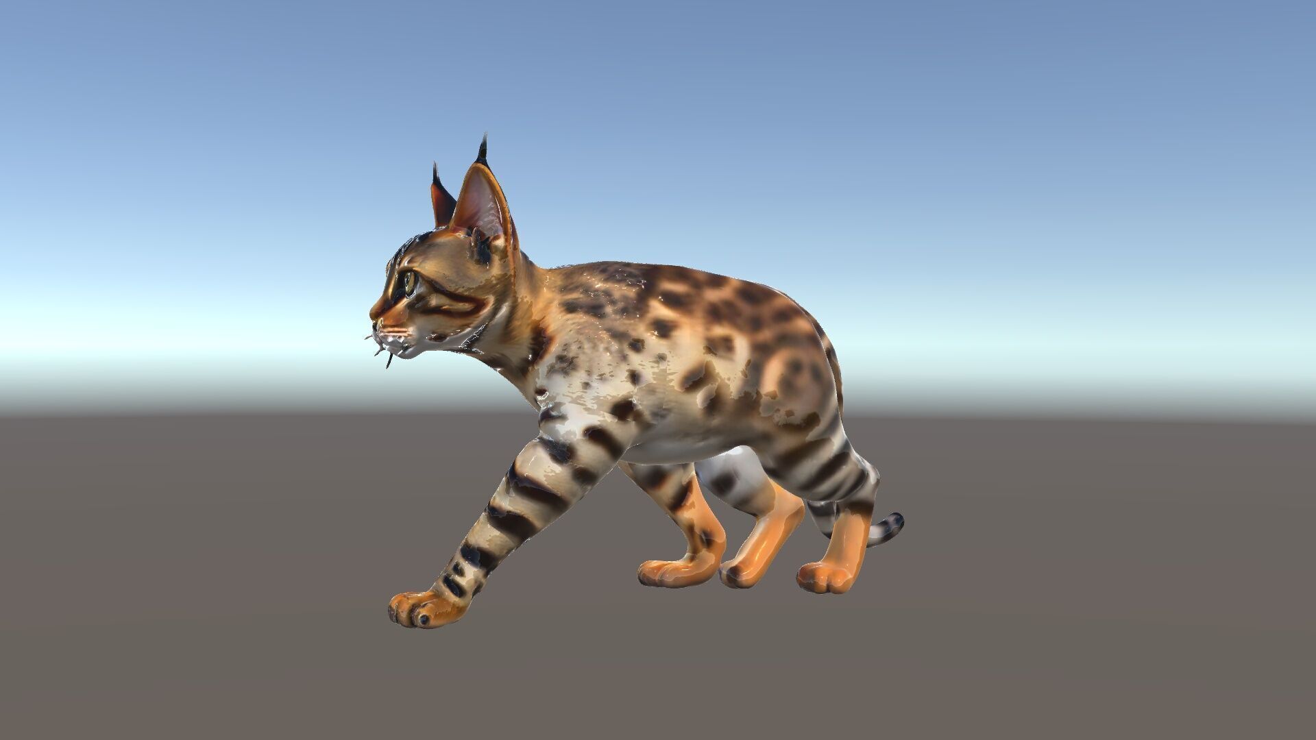Realistic Bengal Cat Model Pack for D Rendering and Games Low-poly 3D model_3