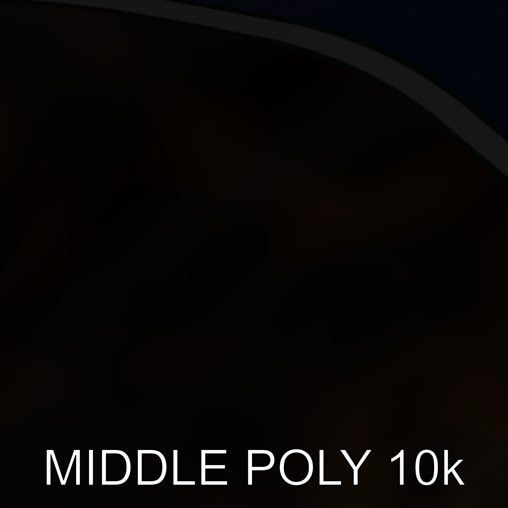 Realistic Bengal Cat Model Pack for D Rendering and Games Low-poly 3D model_24