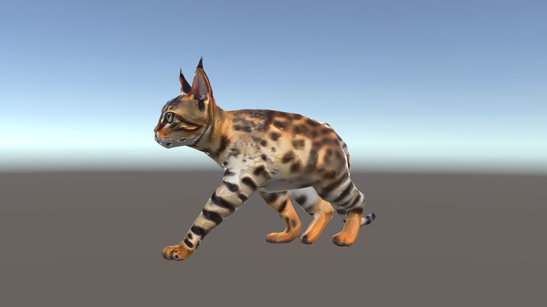 Realistic Bengal Cat Model Pack for D Rendering and Games Low-poly 3D model_34