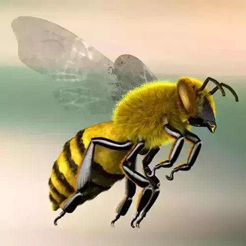 A lovely Bee 3D model