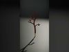 Rustic Metal Tree Silhouette Model Pack Low-poly 3D model_2