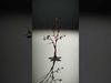 Artistic Tree Sculpture Model Pack Low-poly 3D model_2