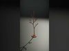 Rustic Metal Tree Model Pack  Accent Decor Stand Low-poly 3D model_2