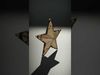 Rustic Metal Star and Twig Model Pack Low-poly 3D model_2