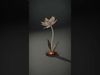 Metallic Lotus Flower Sculpture D Model Pack Low-poly 3D model_2