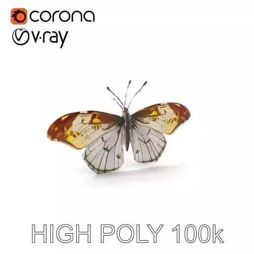 Butterfly Wings Spread Model Pack