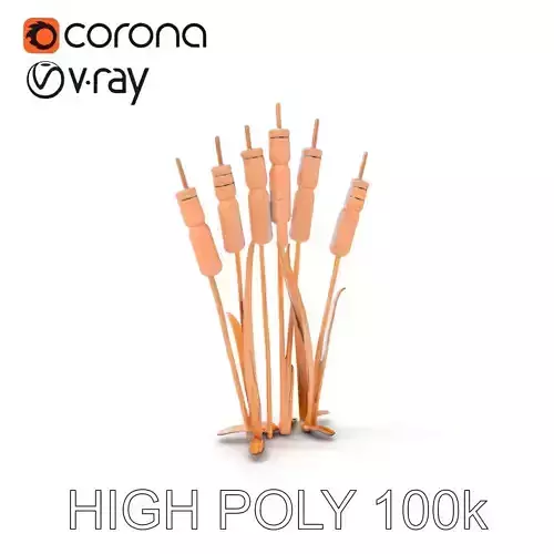 Cattail Plant D Model Pack
