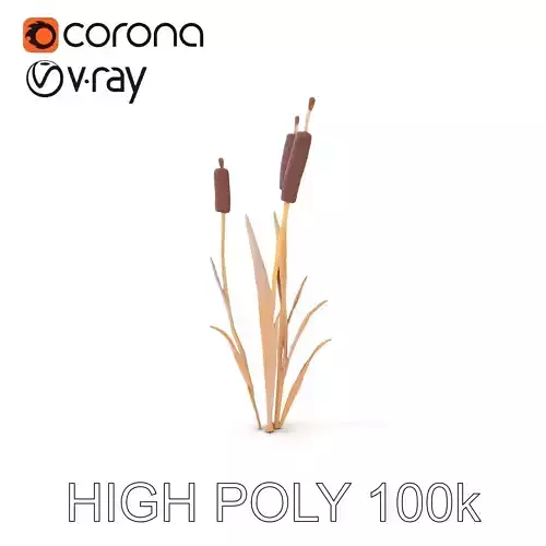 Cattail Plant Model Pack for D Visualization and Games Low-poly 3D model