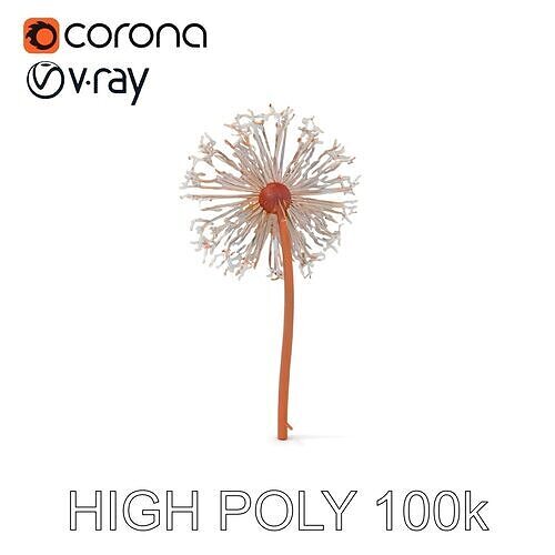 Dandelion Seed Model Pack Low-poly 3D model
