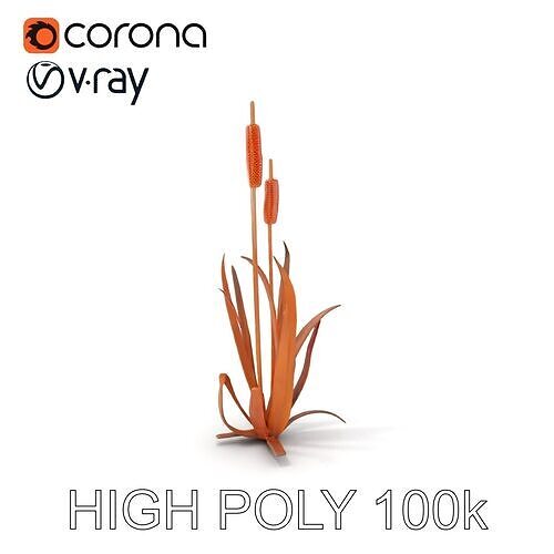Cattail Plant Model Pack for Environments and Games Low-poly 3D model