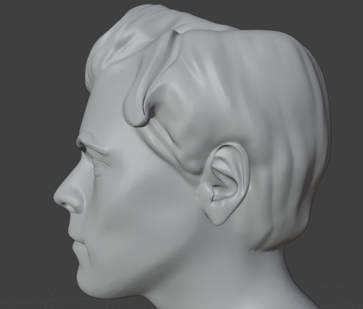 Harry Styles 3D print model_29