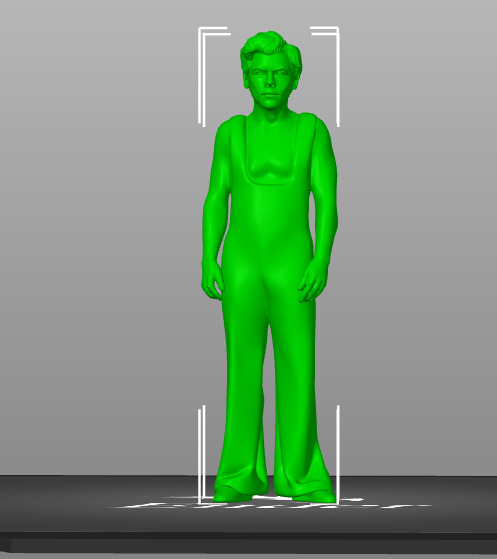 Harry Styles 3D print model_28