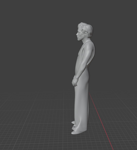 Harry Styles 3D print model_27