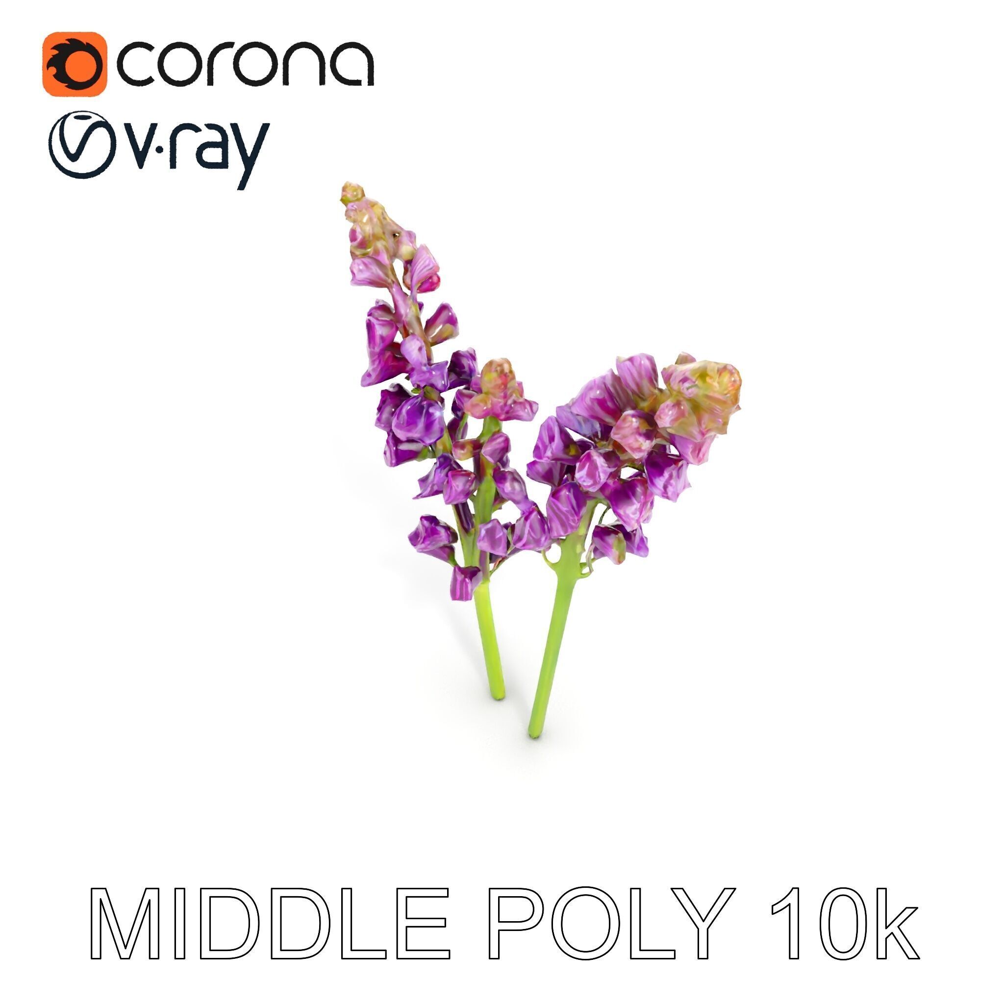 Lavender Flower Model Pack for D Environments Low-poly 3D model_8