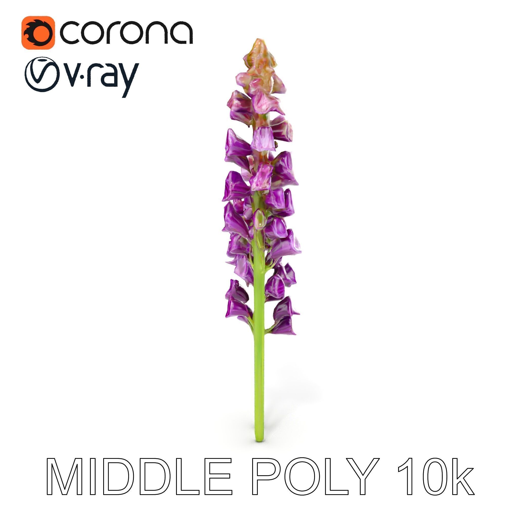 Lavender Flower Model Pack for D Environments Low-poly 3D model_25