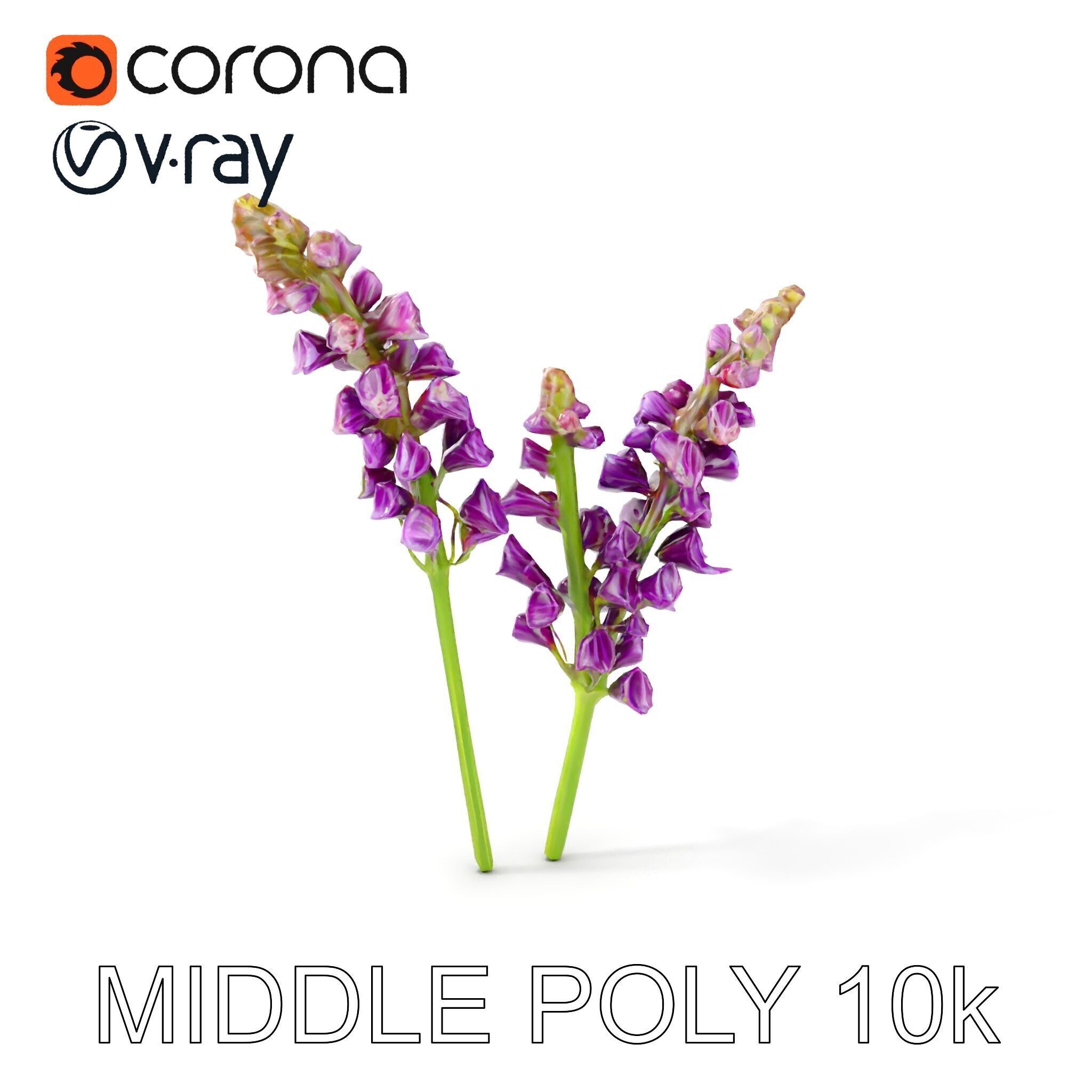 Lavender Flower Model Pack for D Environments Low-poly 3D model_6
