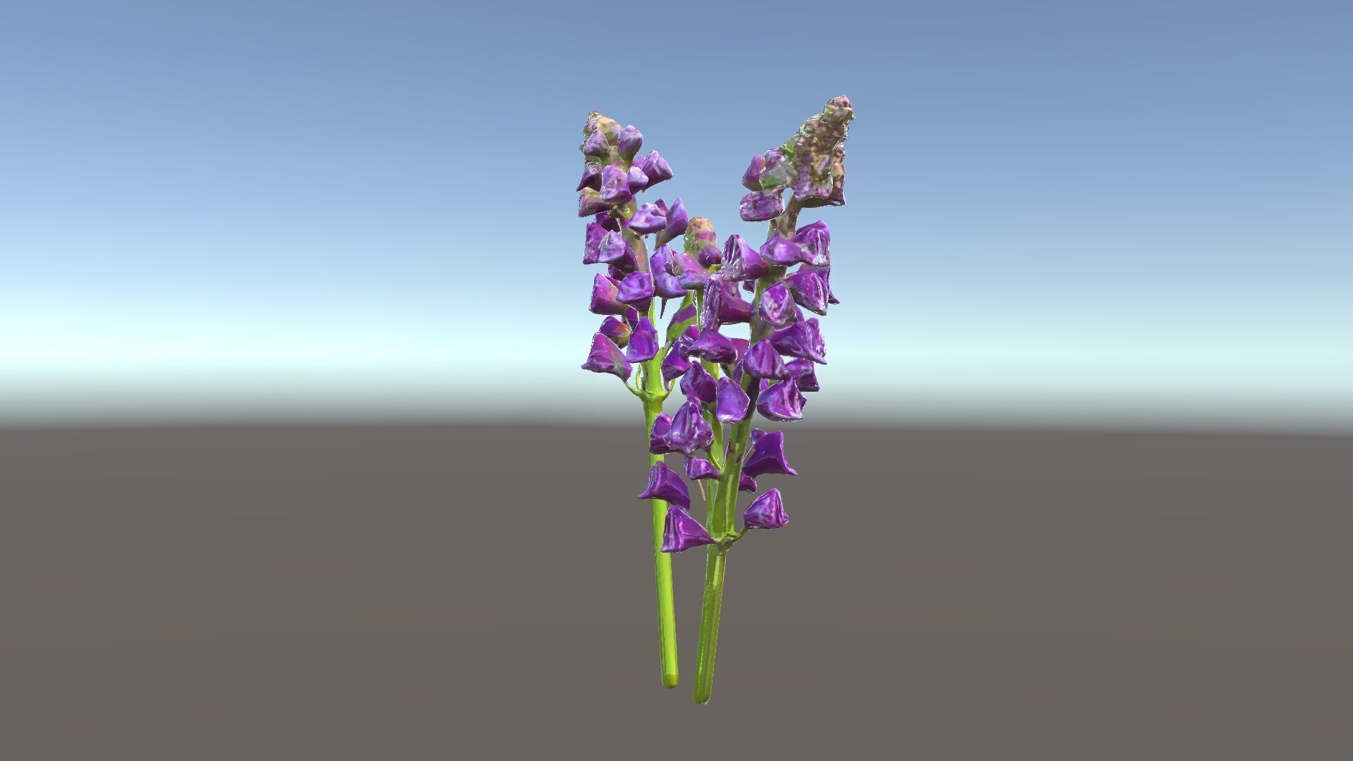 Lavender Flower Model Pack for D Environments Low-poly 3D model_33