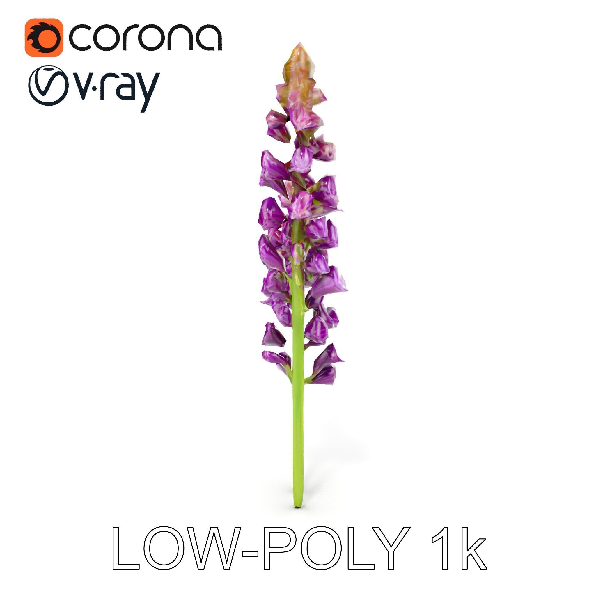 Lavender Flower Model Pack for D Environments Low-poly 3D model_21