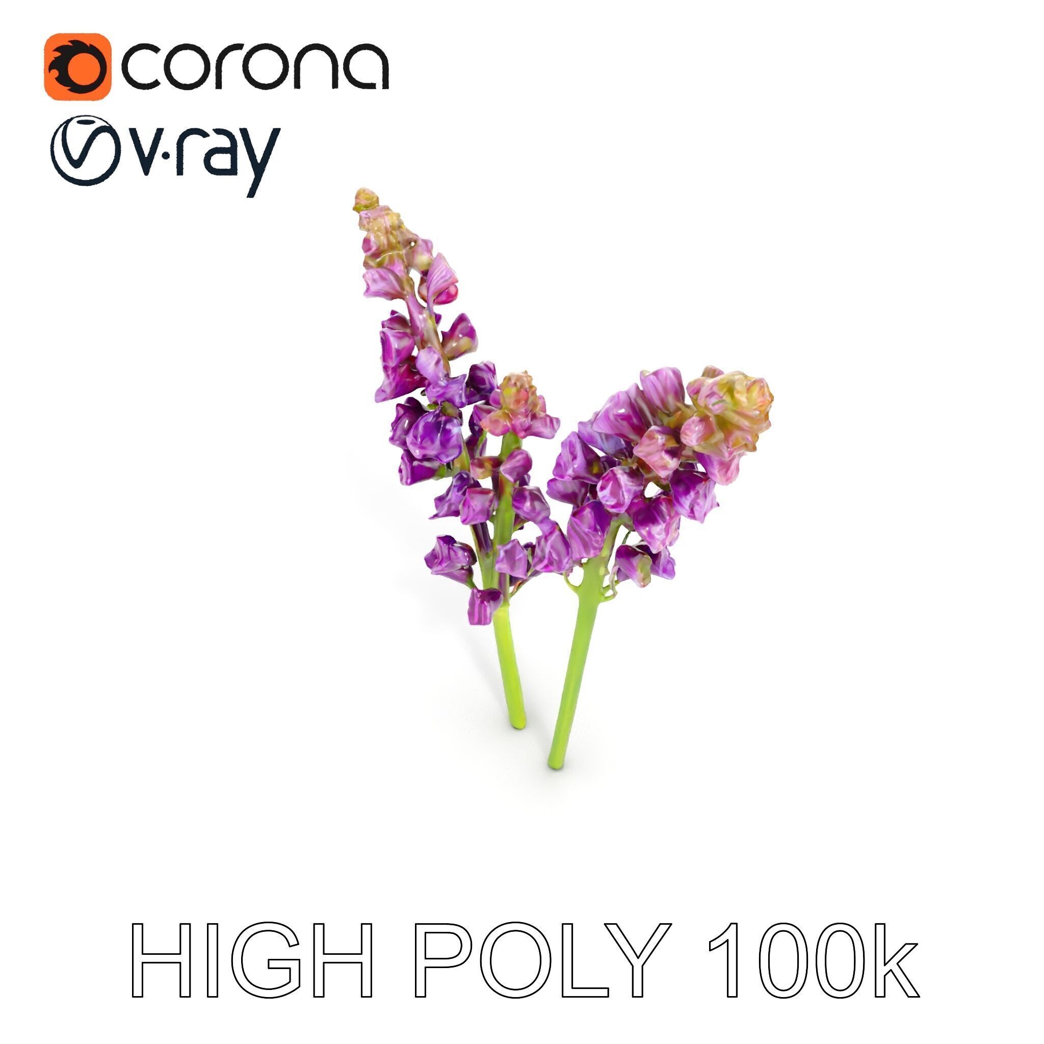 Lavender Flower Model Pack for D Environments Low-poly 3D model_22