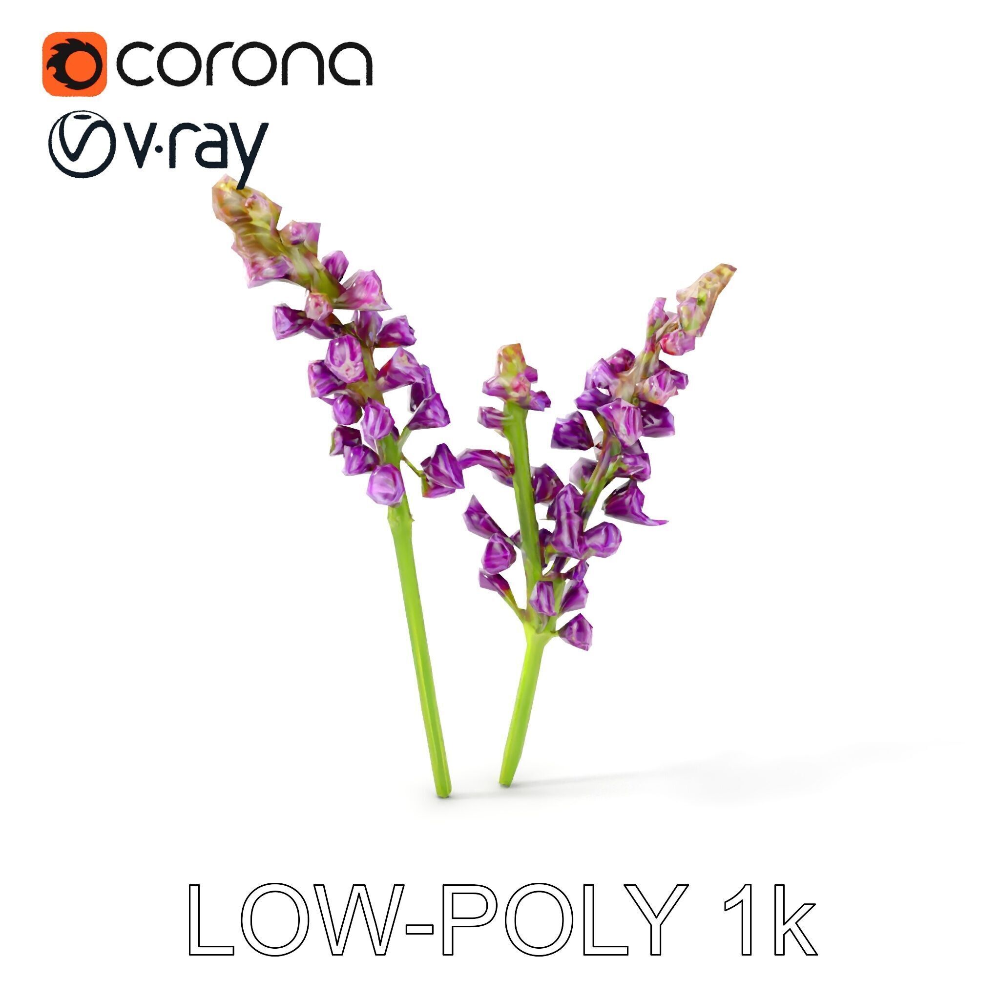 Lavender Flower Model Pack for D Environments Low-poly 3D model_7