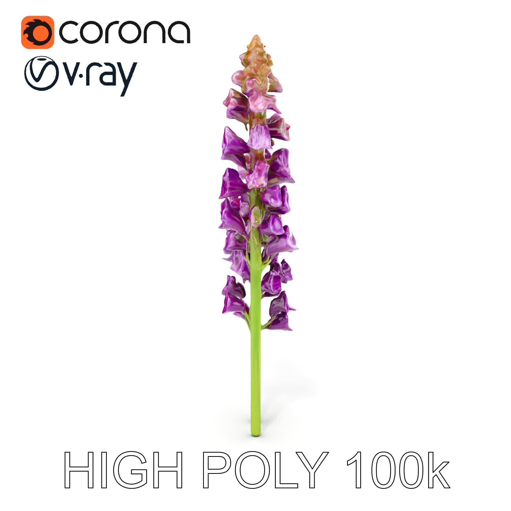 Lavender Flower Model Pack for D Environments Low-poly 3D model_16