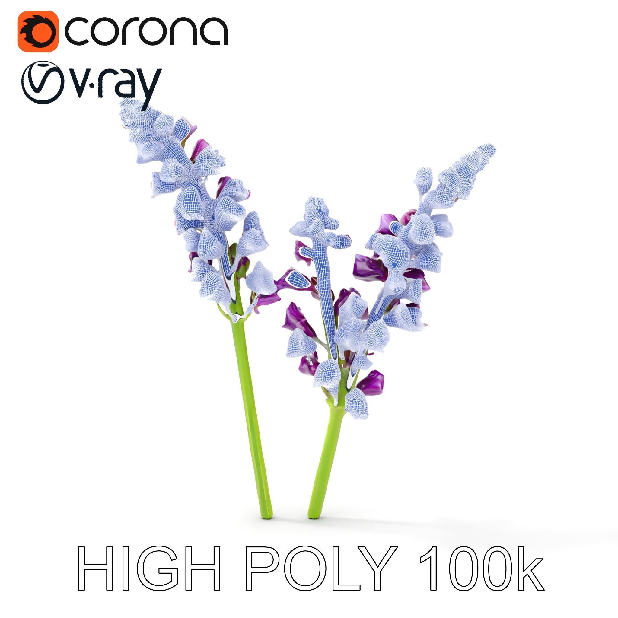 Lavender Flower Model Pack for D Environments Low-poly 3D model_29