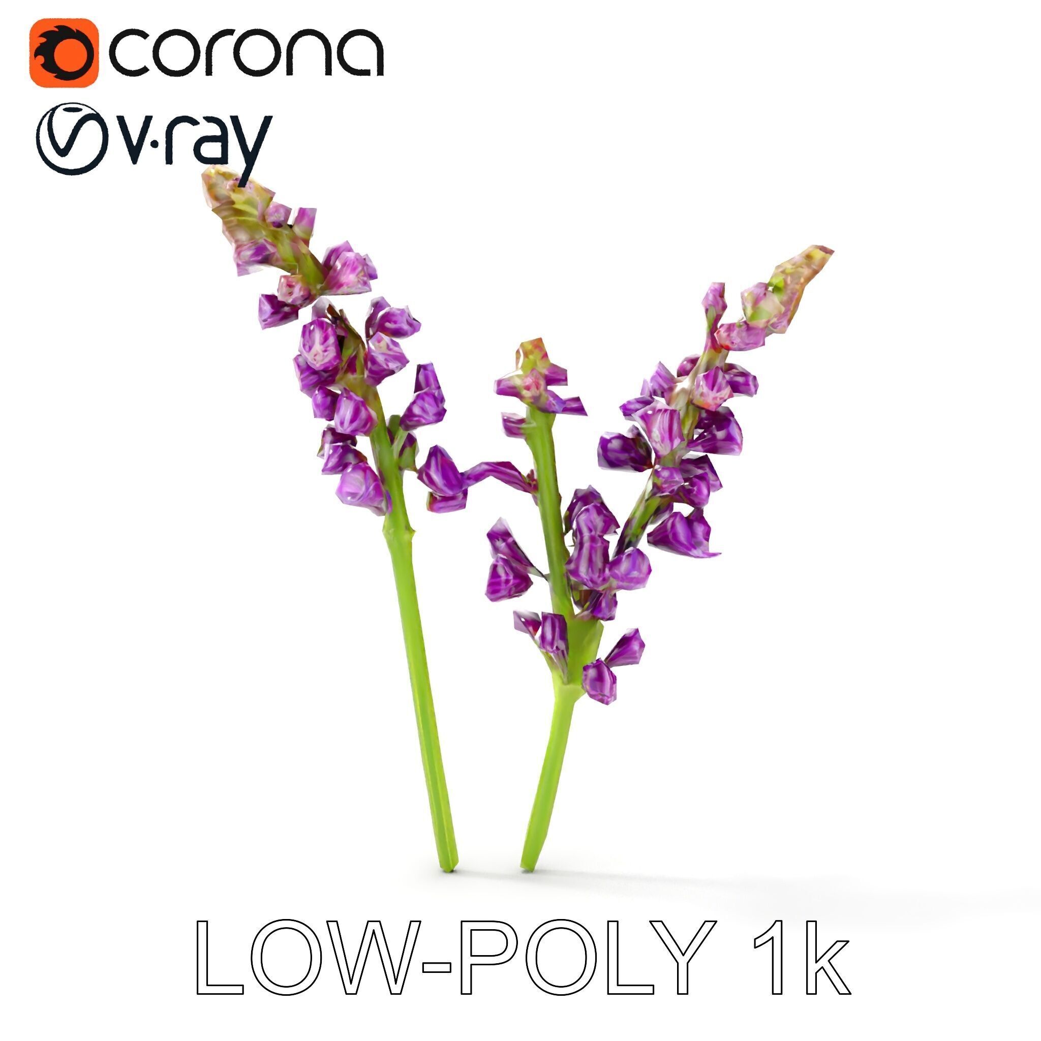 Lavender Flower Model Pack for D Environments Low-poly 3D model_15