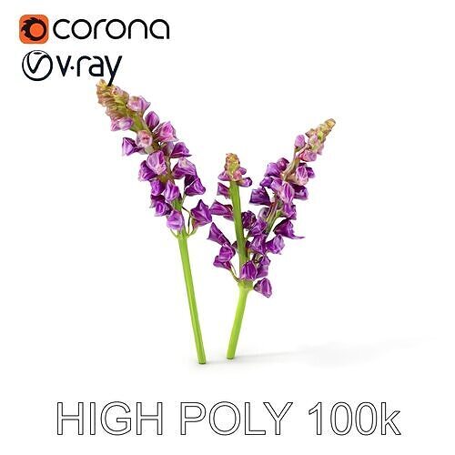 Lavender Flower Model Pack for D Environments Low-poly 3D model
