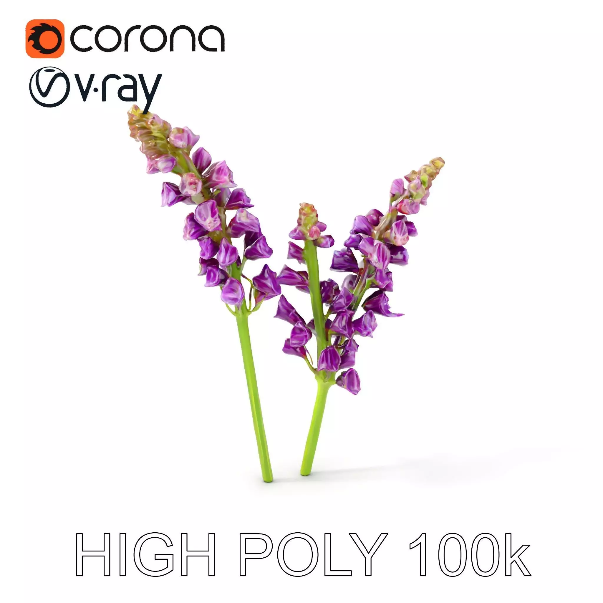 Lavender Flower Model Pack for D Environments Low-poly 3D model_0