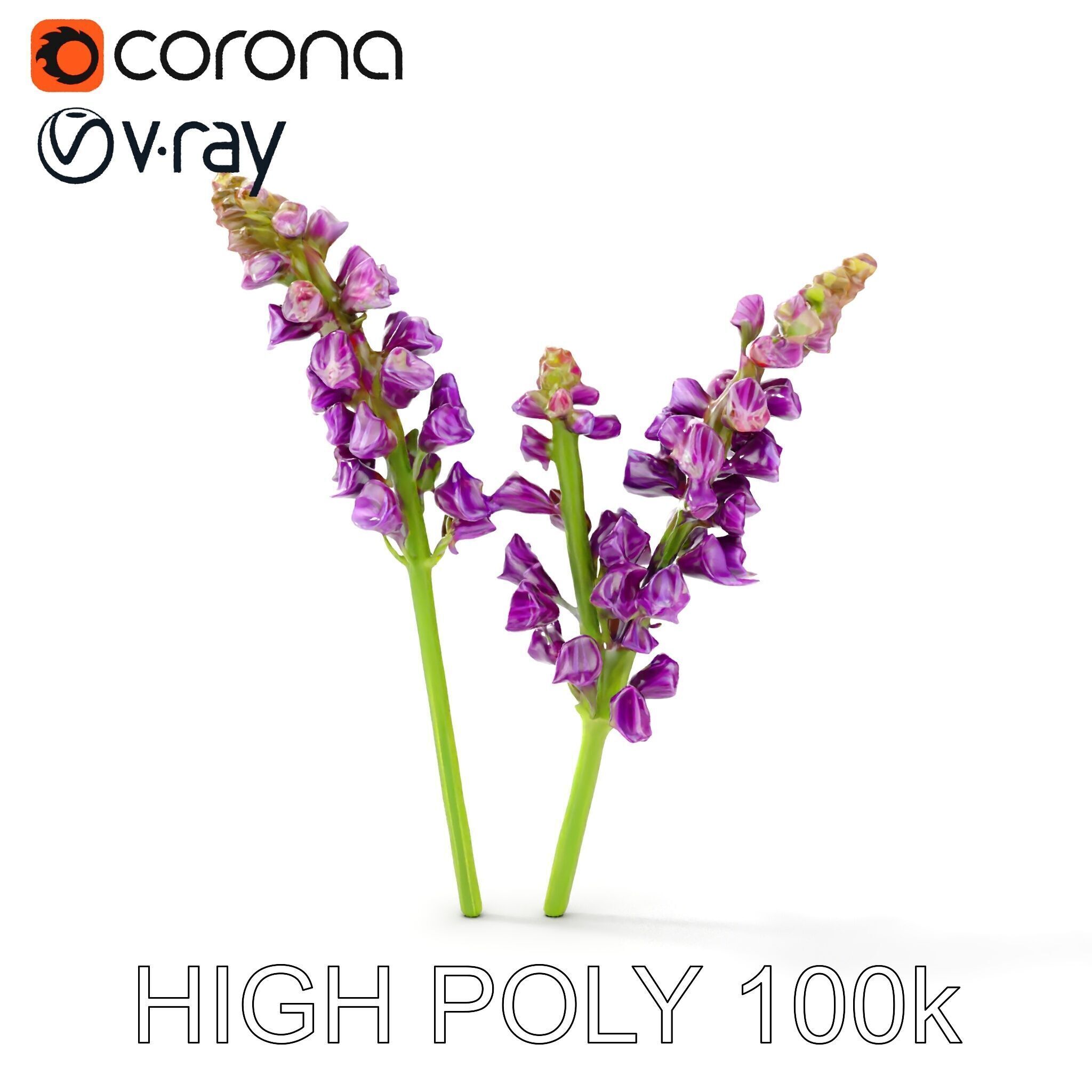 Lavender Flower Model Pack for D Environments Low-poly 3D model_10