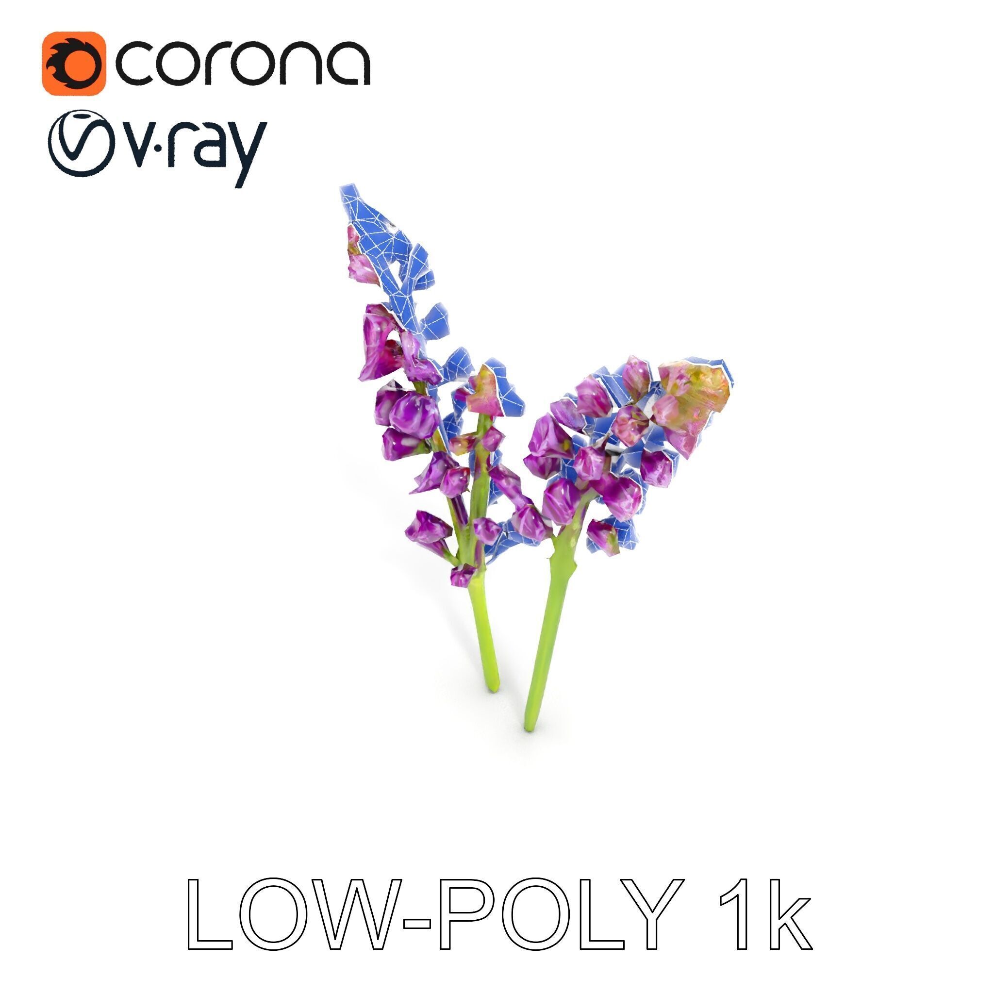 Lavender Flower Model Pack for D Environments Low-poly 3D model_24